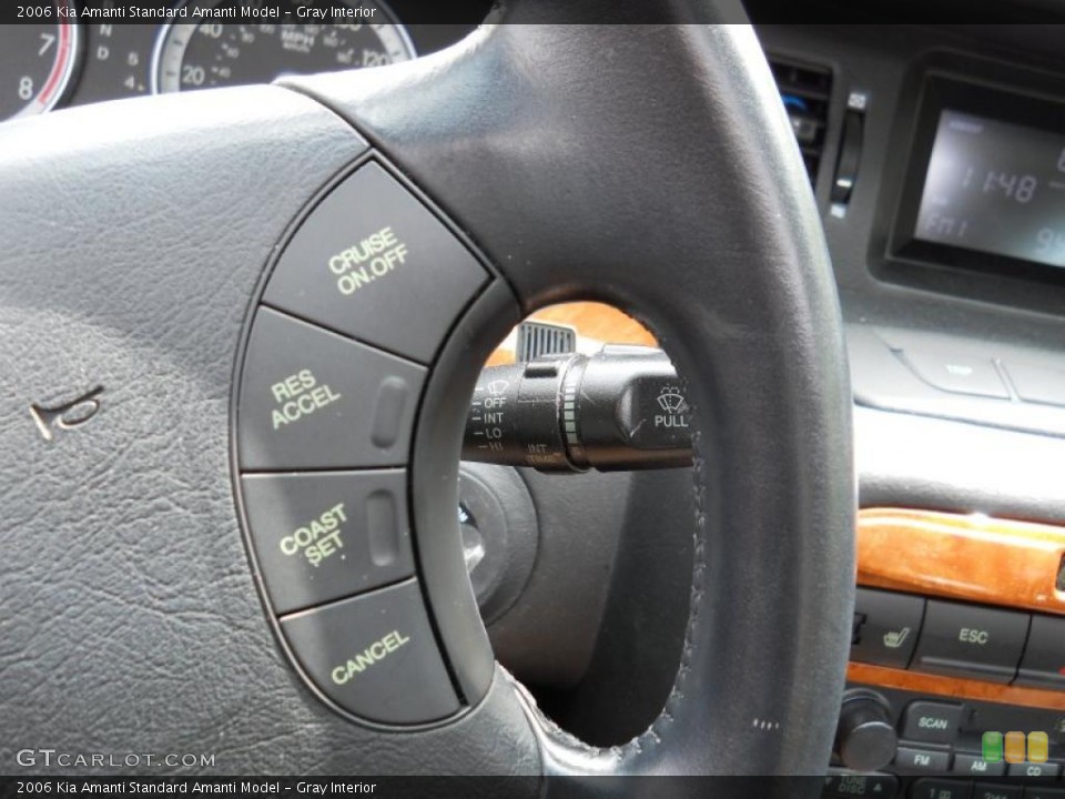 Gray Interior Controls for the 2006 Kia Amanti  #49635800