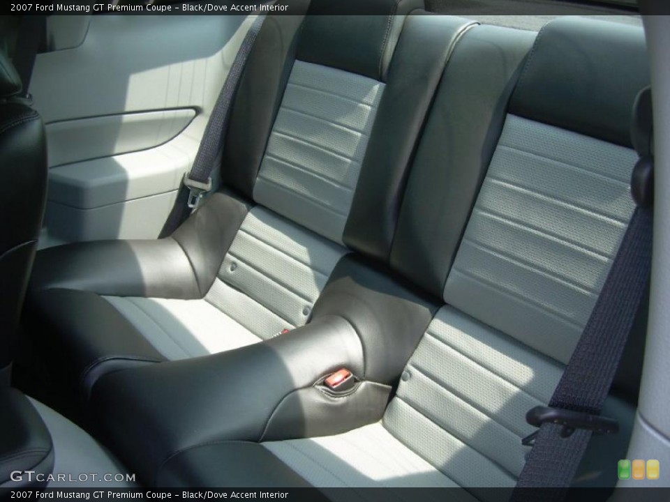Black/Dove Accent Interior Photo for the 2007 Ford Mustang GT Premium Coupe #49663072