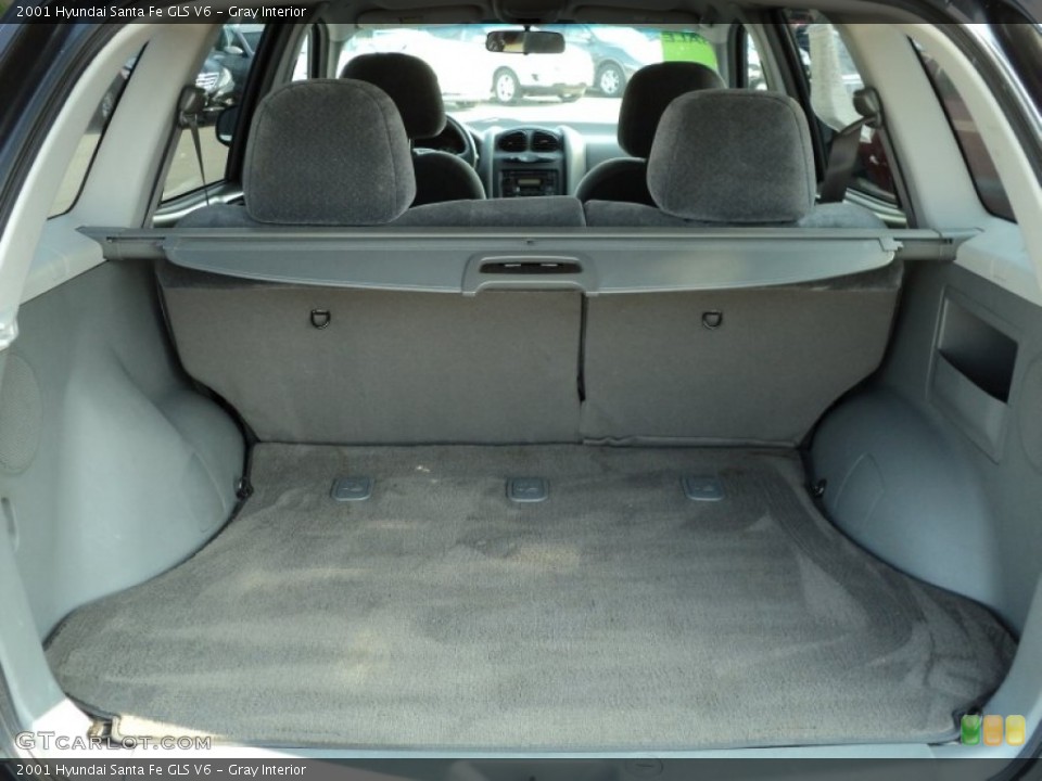 Gray Interior Trunk for the 2001 Hyundai Santa Fe GLS V6 #49991248