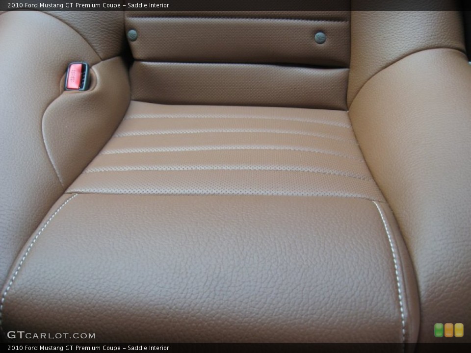 Saddle Interior Photo for the 2010 Ford Mustang GT Premium Coupe #49994665