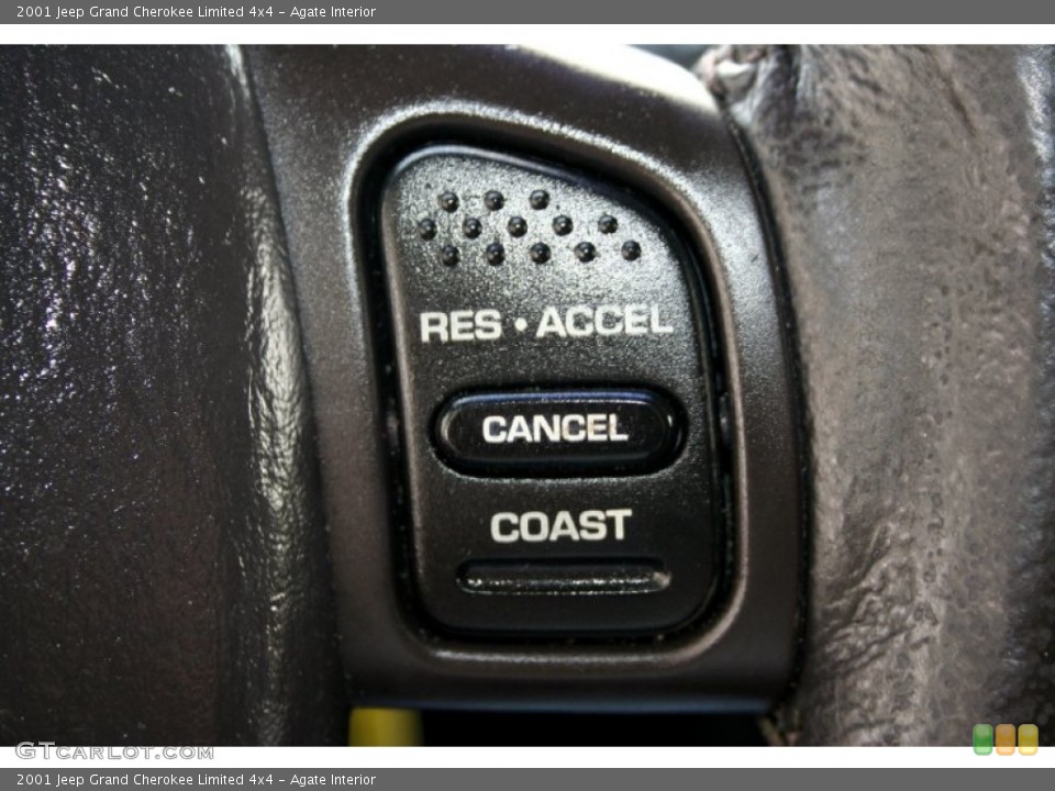 Agate Interior Controls for the 2001 Jeep Grand Cherokee Limited 4x4 #50305805