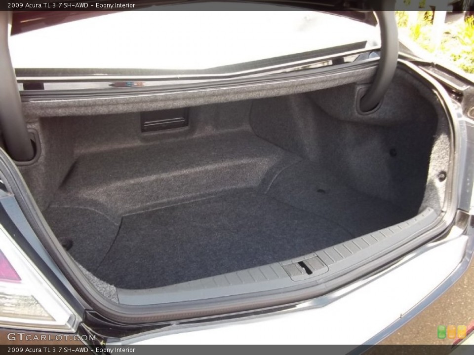 Ebony Interior Trunk for the 2009 Acura TL 3.7 SH-AWD #50567125