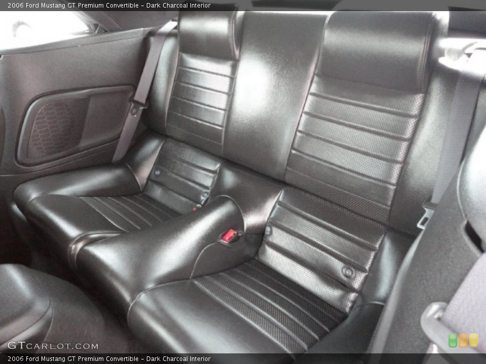 Dark Charcoal Interior Photo for the 2006 Ford Mustang GT Premium Convertible #51012919