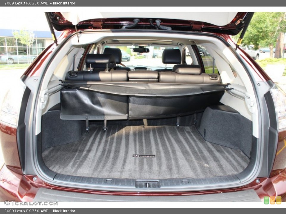 Black Interior Trunk for the 2009 Lexus RX 350 AWD #51488122