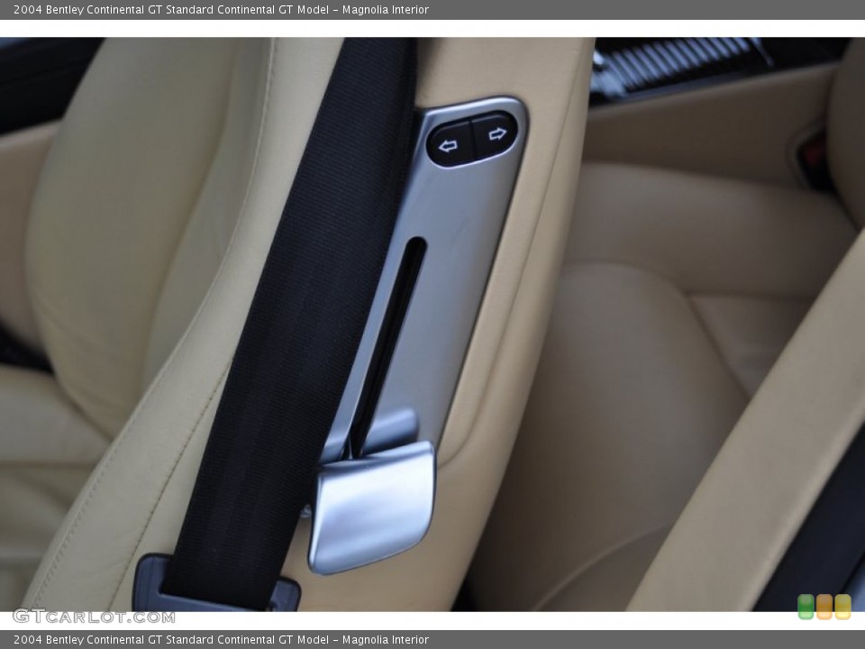 Magnolia Interior Controls for the 2004 Bentley Continental GT  #51576901
