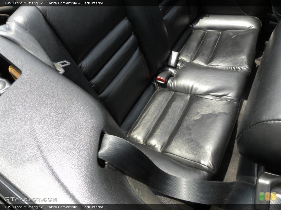 Black Interior Photo for the 1998 Ford Mustang SVT Cobra Convertible #51850442