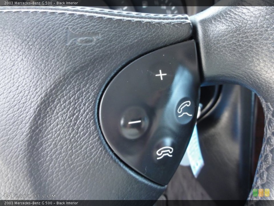 Black Interior Controls for the 2003 Mercedes-Benz G 500 #51851432