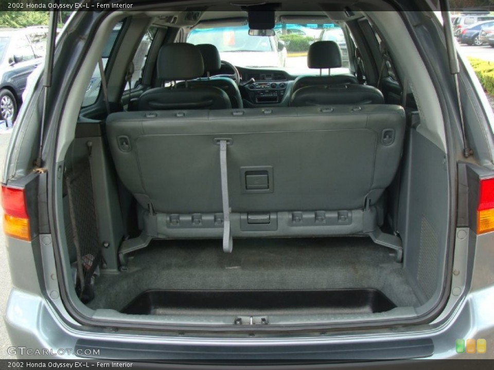 Fern Interior Trunk for the 2002 Honda Odyssey EX-L #52406025