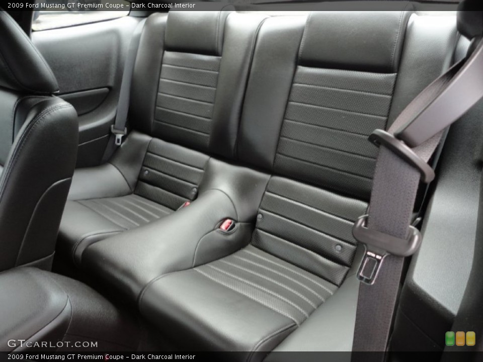 Dark Charcoal Interior Photo for the 2009 Ford Mustang GT Premium Coupe #53031485