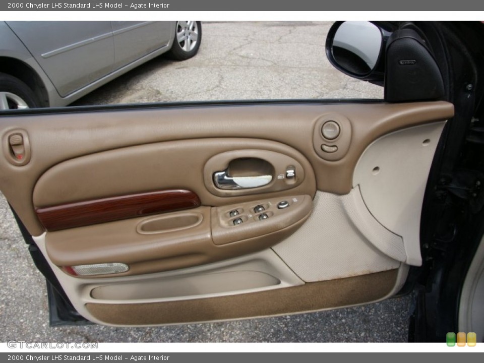 Agate Interior Door Panel for the 2000 Chrysler LHS  #53175878