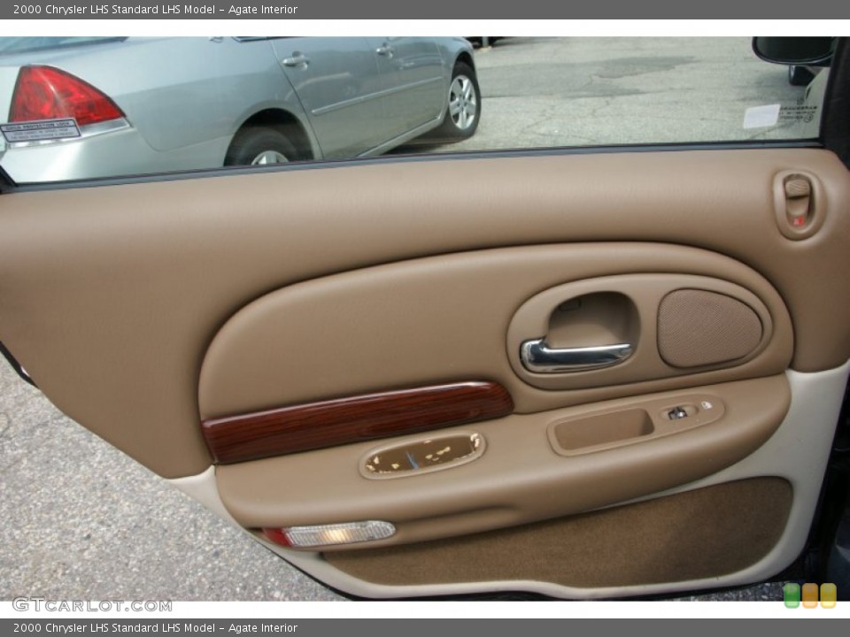 Agate Interior Door Panel for the 2000 Chrysler LHS  #53175917