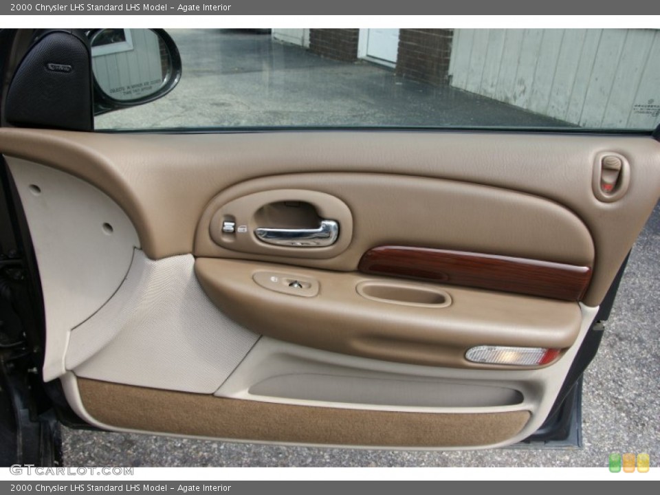 Agate Interior Door Panel for the 2000 Chrysler LHS  #53175959