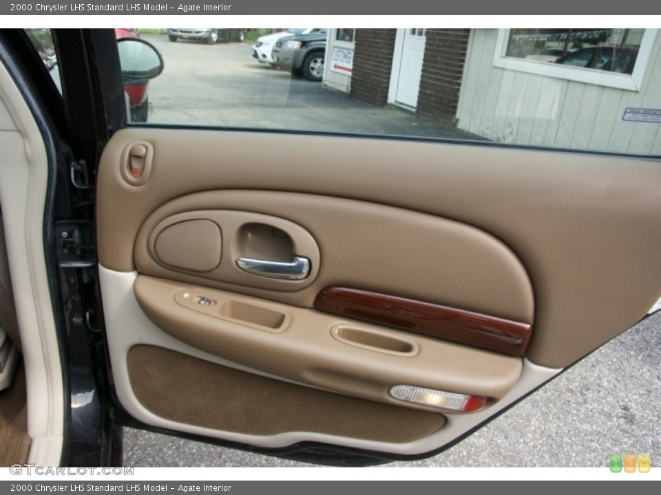 Agate Interior Door Panel for the 2000 Chrysler LHS  #53176007