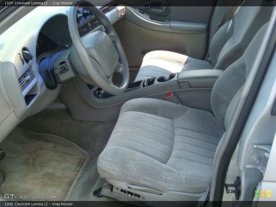 Gray Interior Photo for the 1995 Chevrolet Lumina LS #53197541