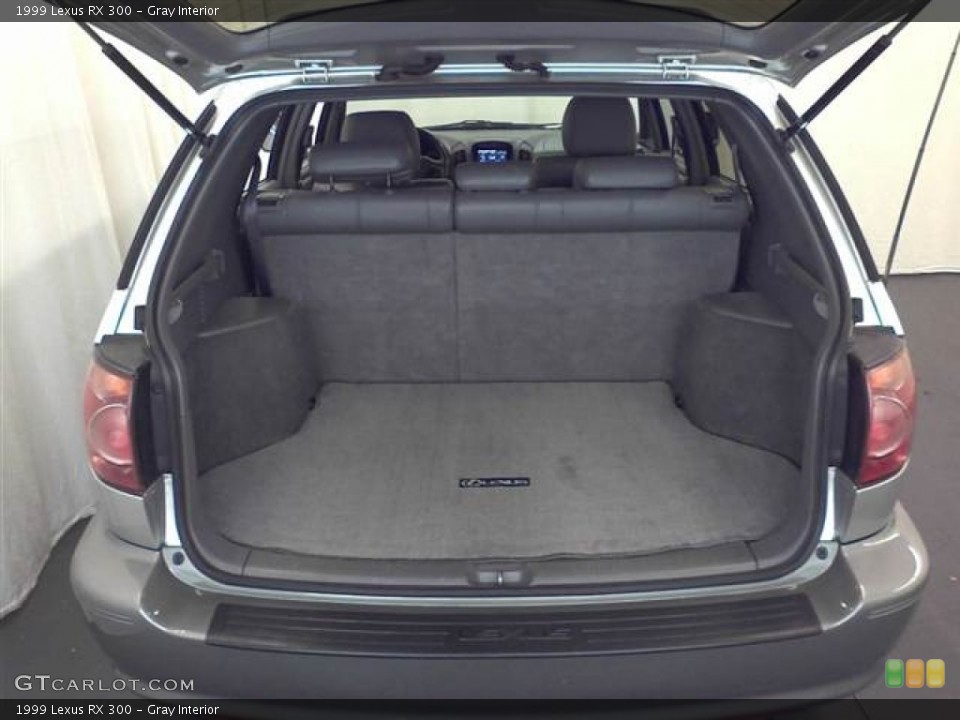 Gray Interior Trunk for the 1999 Lexus RX 300 #53431225