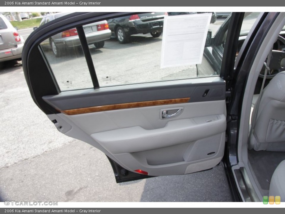 Gray Interior Door Panel for the 2006 Kia Amanti  #53810734