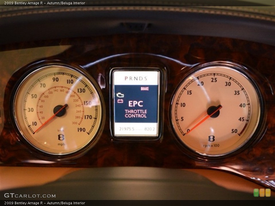Autumn/Beluga Interior Gauges for the 2009 Bentley Arnage R #53873765