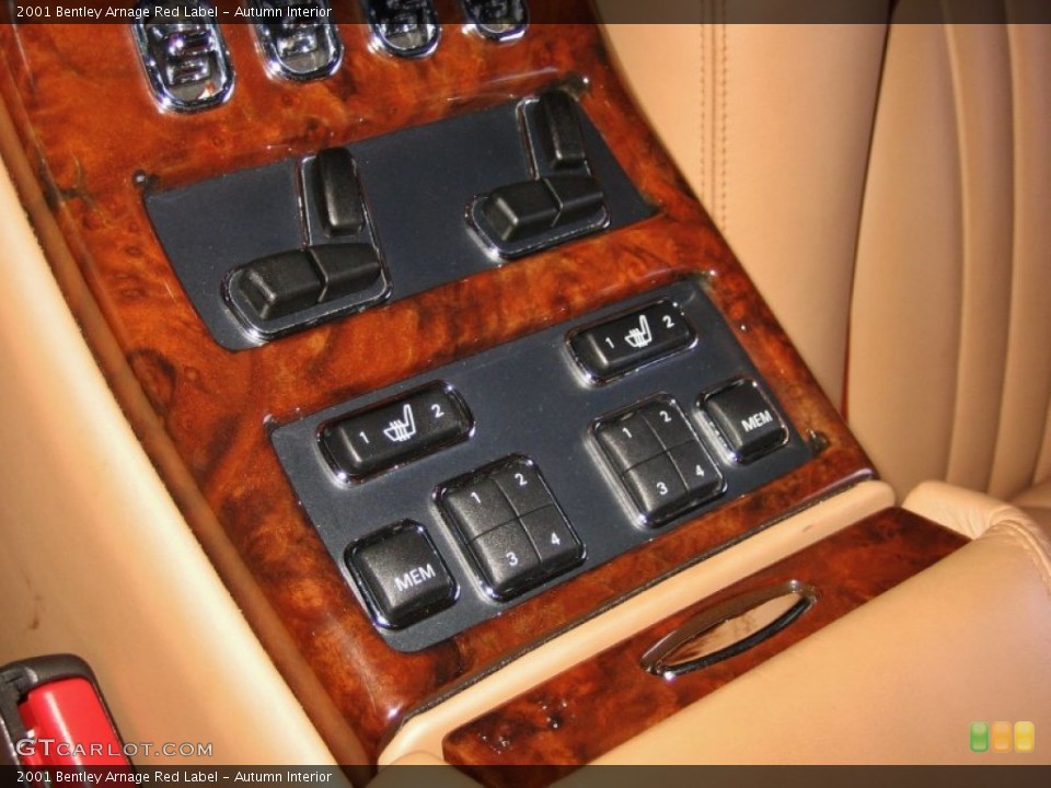 Autumn Interior Controls for the 2001 Bentley Arnage Red Label #55024539