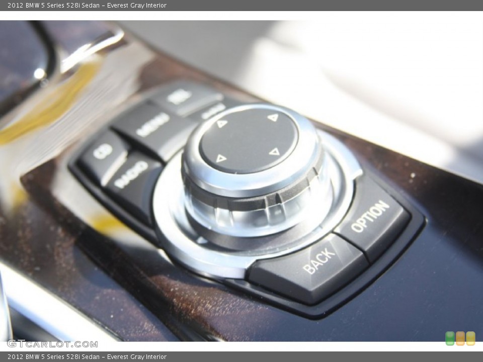 Everest Gray Interior Controls for the 2012 BMW 5 Series 528i Sedan #55922280