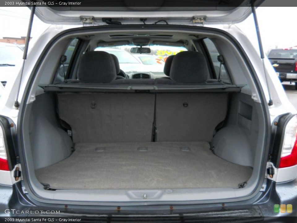Gray Interior Trunk for the 2003 Hyundai Santa Fe GLS #59606298