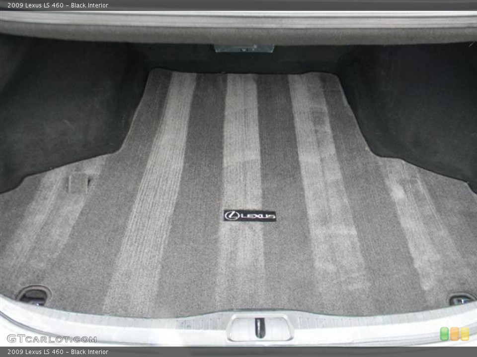 Black Interior Trunk for the 2009 Lexus LS 460 #60154986