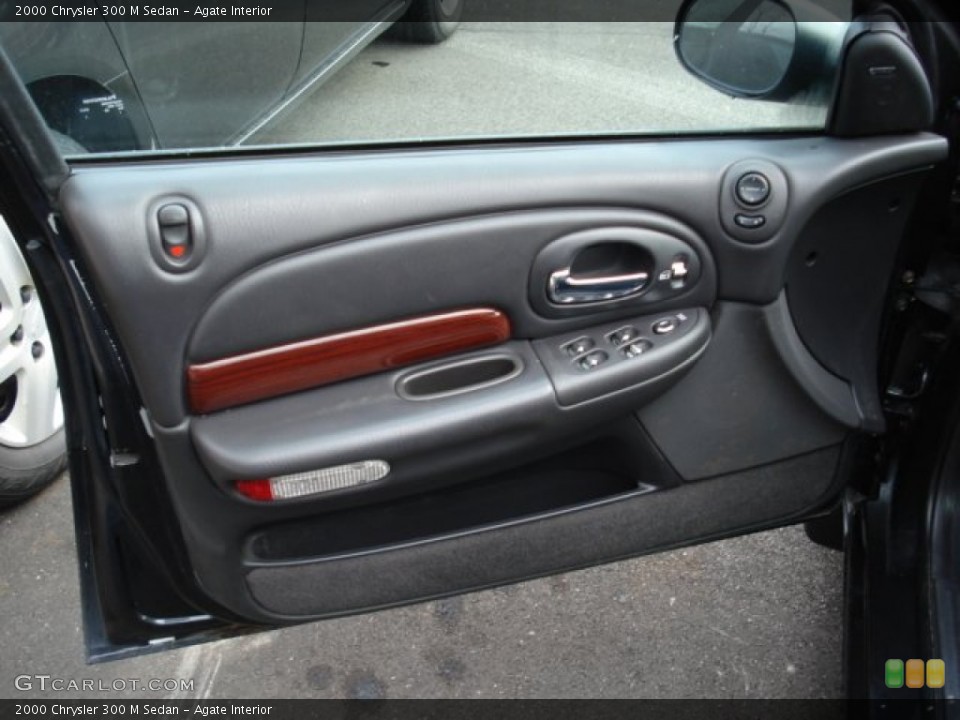 Agate Interior Door Panel for the 2000 Chrysler 300 M Sedan #60366357