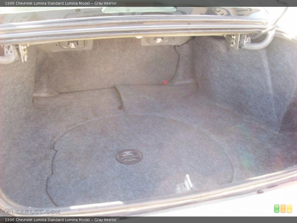 Gray Interior Trunk for the 1996 Chevrolet Lumina  #60599090