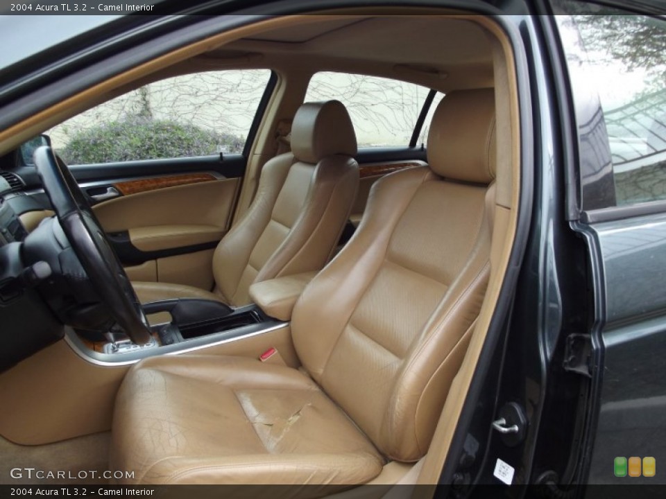 Camel Interior Photo for the 2004 Acura TL 3.2 #60825570