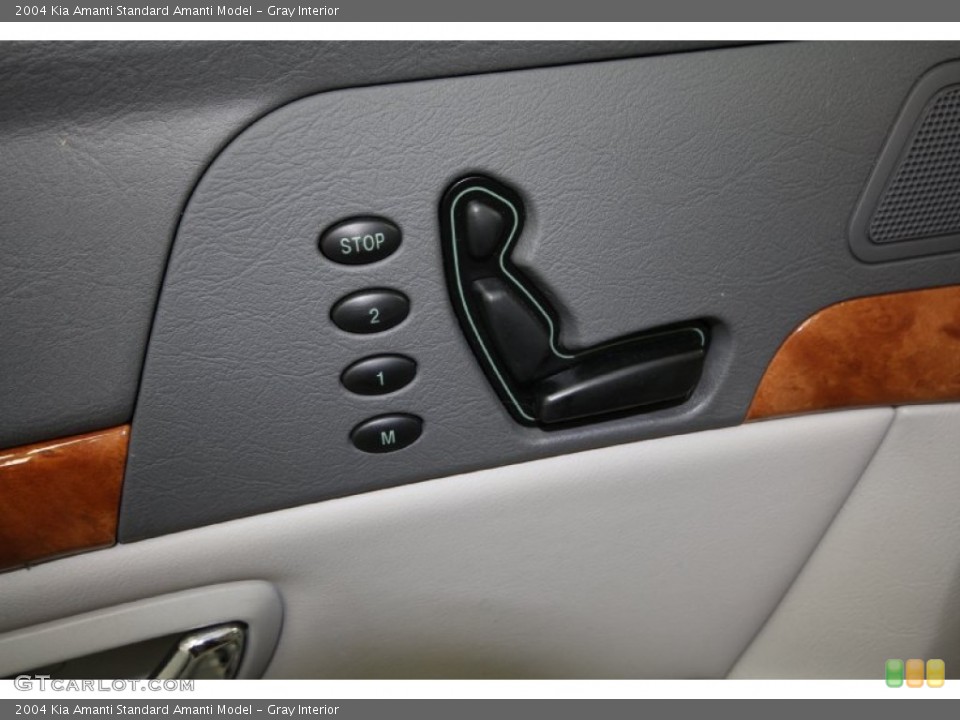 Gray Interior Controls for the 2004 Kia Amanti  #60990010