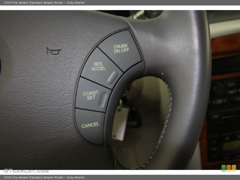 Gray Interior Controls for the 2004 Kia Amanti  #60990079