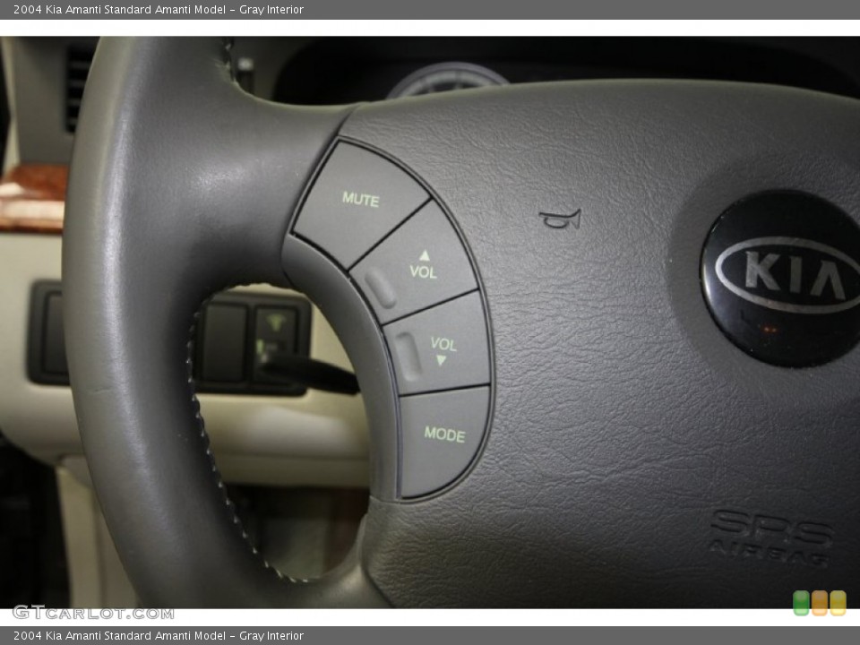 Gray Interior Controls for the 2004 Kia Amanti  #60990091