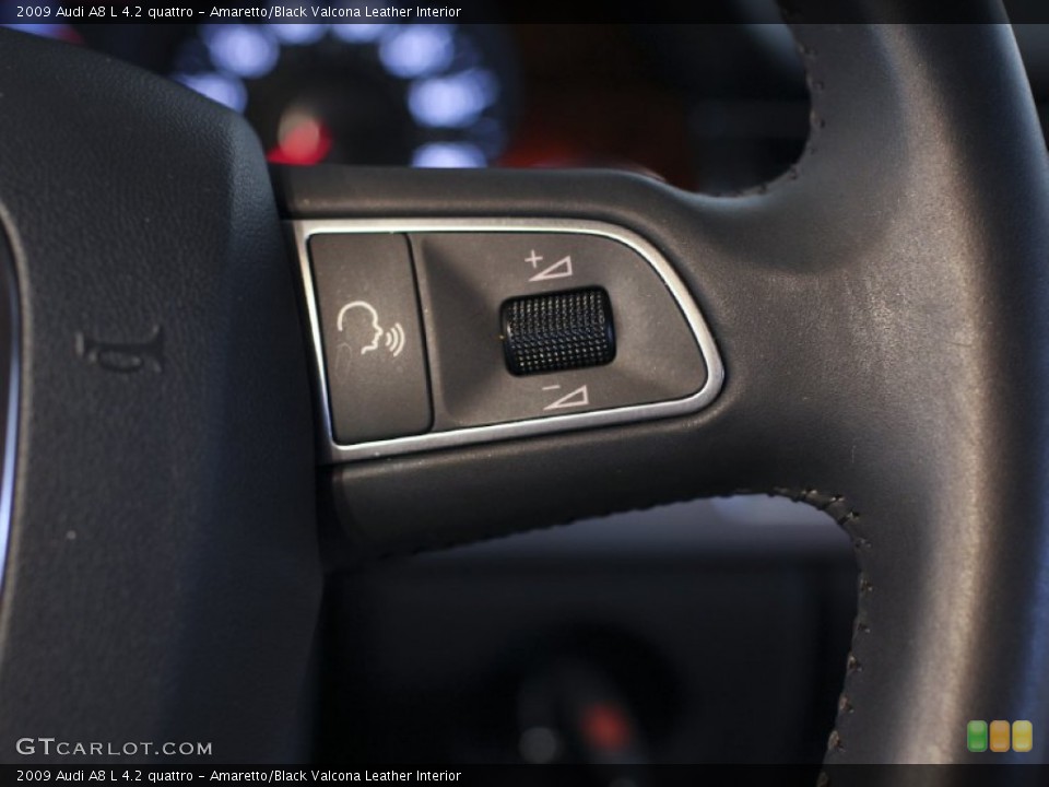 Amaretto/Black Valcona Leather Interior Controls for the 2009 Audi A8 L 4.2 quattro #61985709