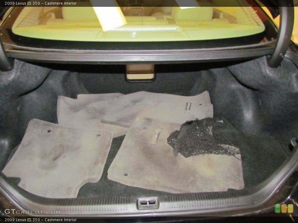 Cashmere Interior Trunk for the 2009 Lexus ES 350 #62286243