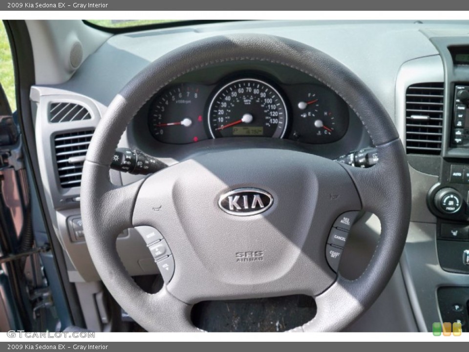 Gray Interior Steering Wheel for the 2009 Kia Sedona EX #62759664