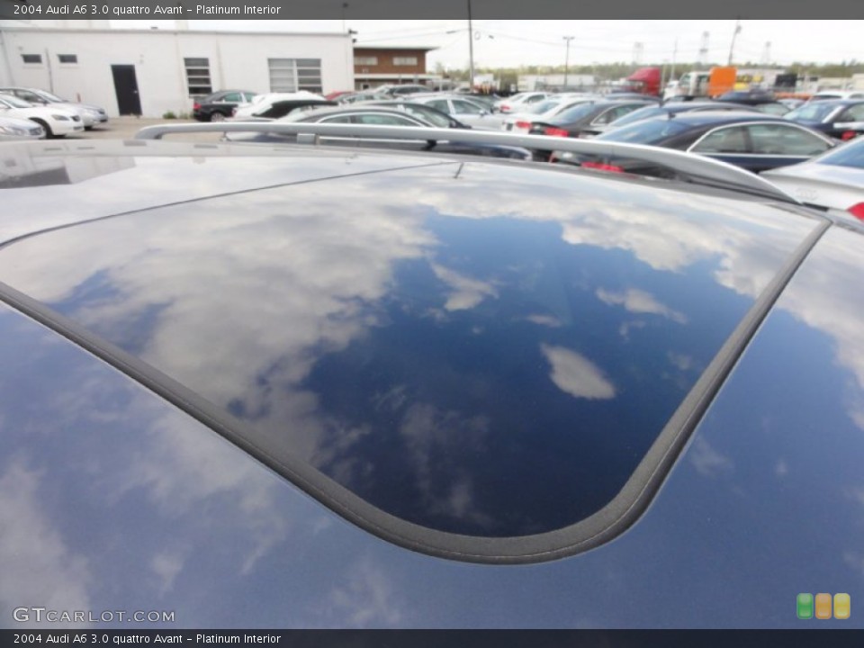Platinum Interior Sunroof for the 2004 Audi A6 3.0 quattro Avant #63653620