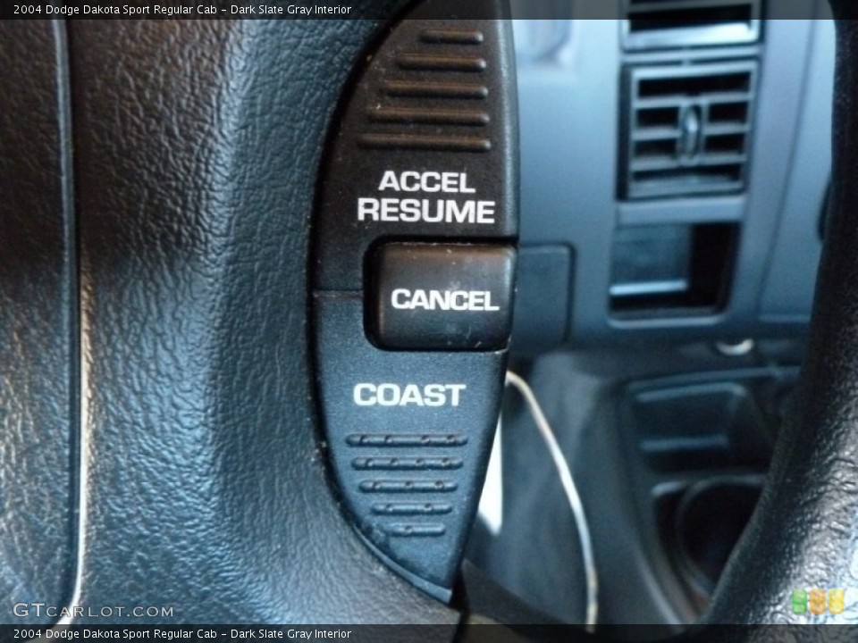 Dark Slate Gray Interior Controls for the 2004 Dodge Dakota Sport Regular Cab #65144958