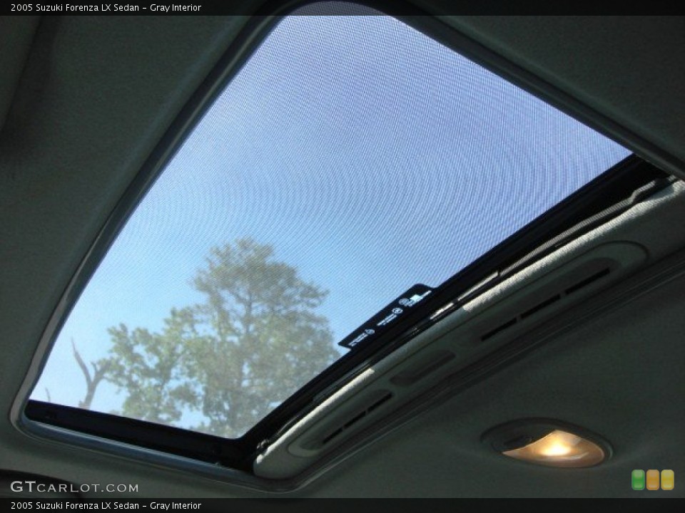 Gray Interior Sunroof for the 2005 Suzuki Forenza LX Sedan #65522096