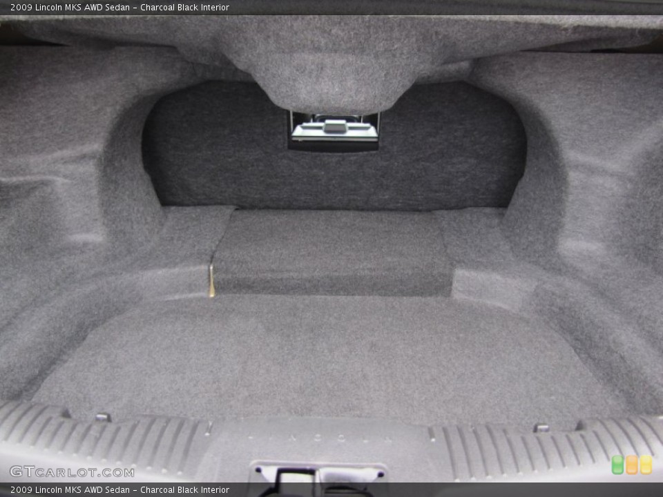 Charcoal Black Interior Trunk for the 2009 Lincoln MKS AWD Sedan #65619168