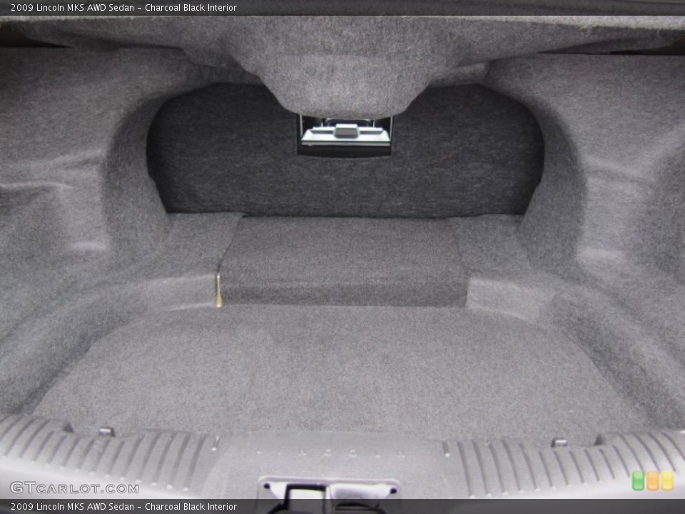 Charcoal Black Interior Trunk for the 2009 Lincoln MKS AWD Sedan #65619168