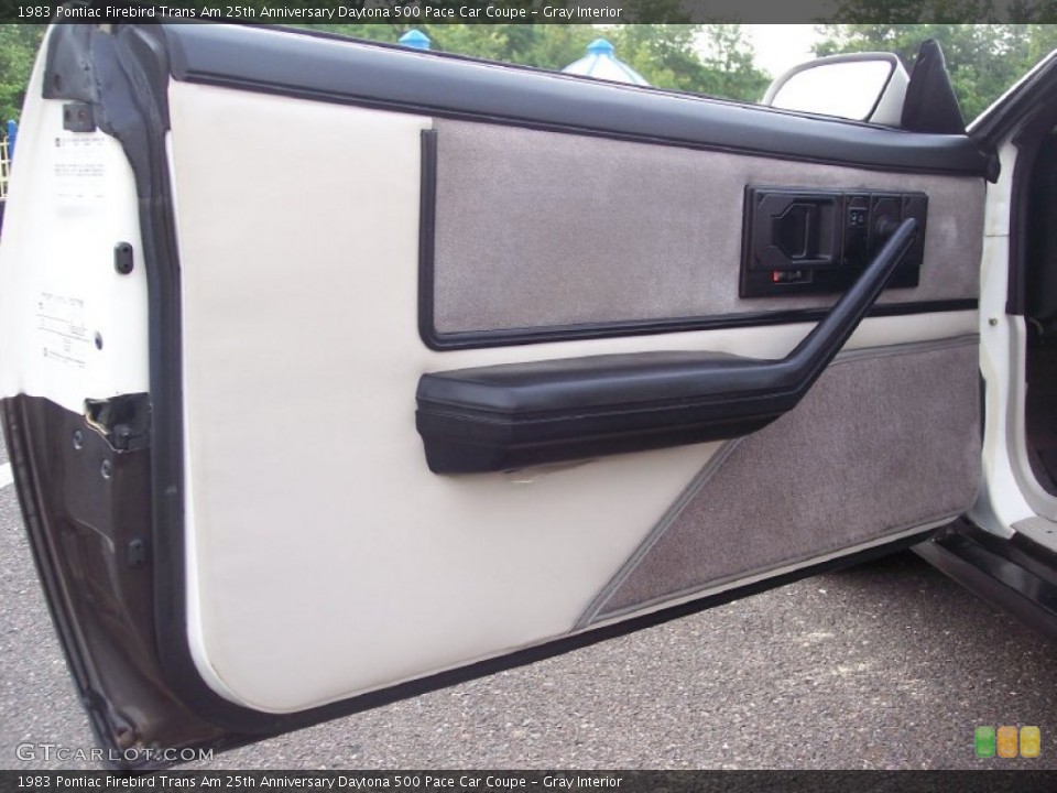 Gray Interior Door Panel for the 1983 Pontiac Firebird Trans Am 25th Anniversary Daytona 500 Pace Car Coupe #65948321