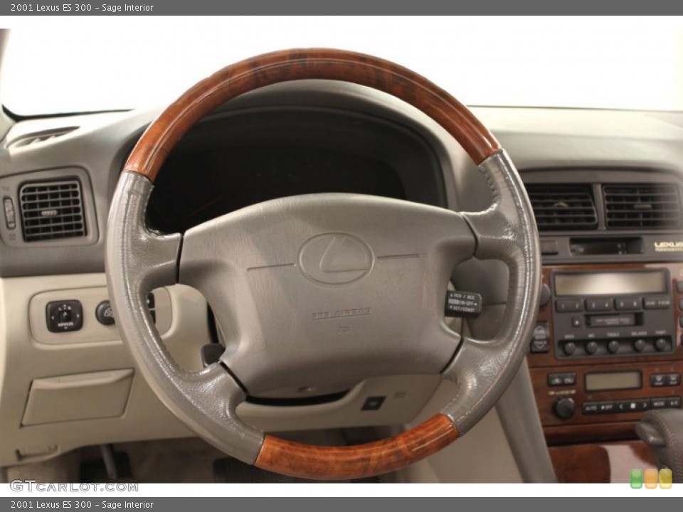 Sage Interior Steering Wheel for the 2001 Lexus ES 300 #66471459