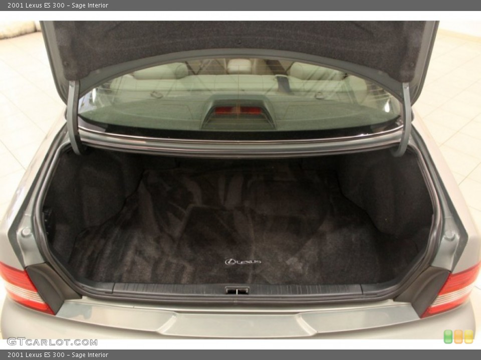 Sage Interior Trunk for the 2001 Lexus ES 300 #66471531