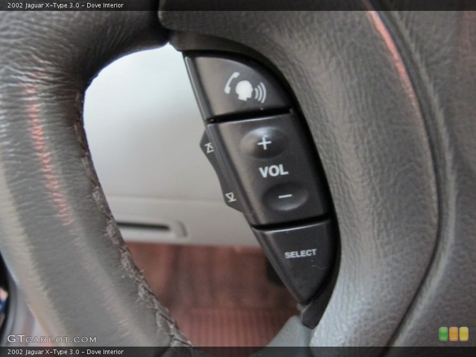 Dove Interior Controls for the 2002 Jaguar X-Type 3.0 #66551713