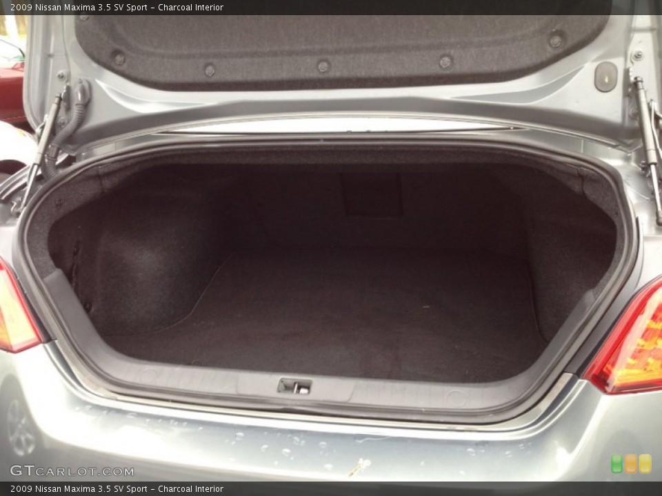 Charcoal Interior Trunk for the 2009 Nissan Maxima 3.5 SV Sport #66563189