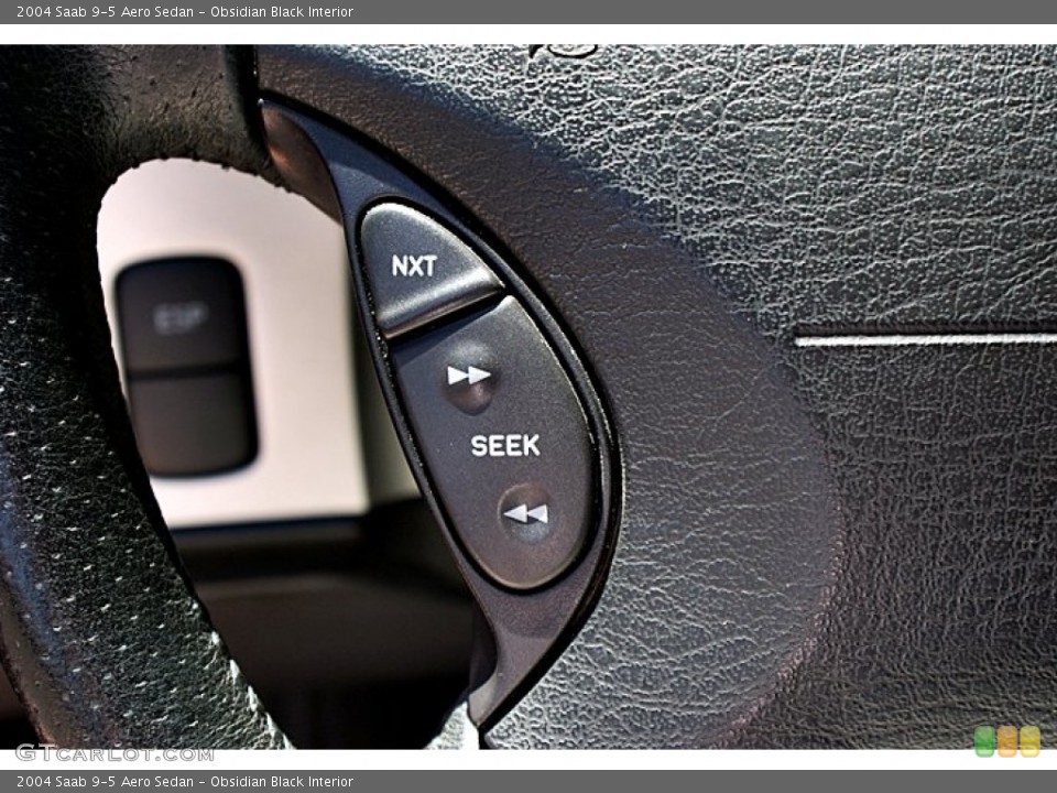 Obsidian Black Interior Controls for the 2004 Saab 9-5 Aero Sedan #66884485