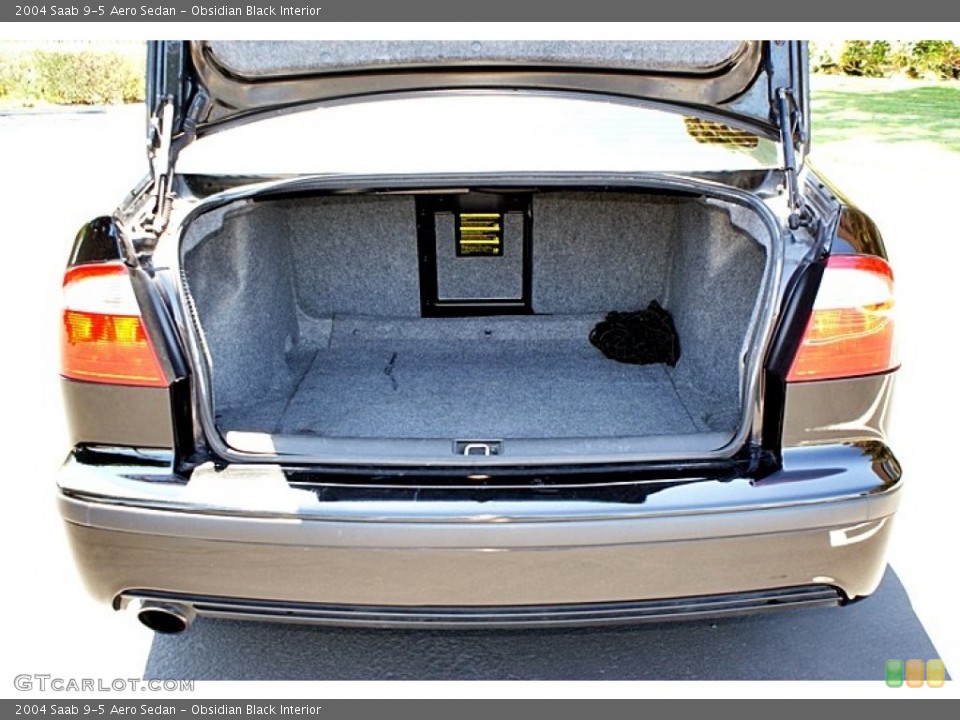 Obsidian Black Interior Trunk for the 2004 Saab 9-5 Aero Sedan #66884629