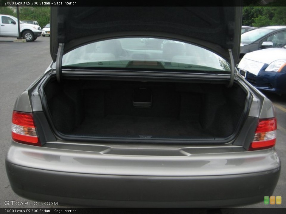 Sage Interior Trunk for the 2000 Lexus ES 300 Sedan #66926641