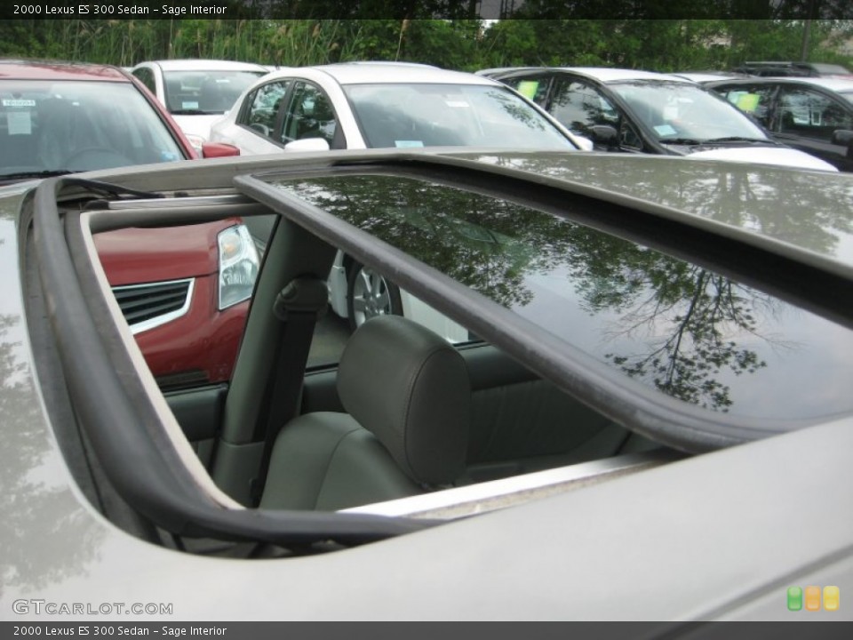 Sage Interior Sunroof for the 2000 Lexus ES 300 Sedan #66926668