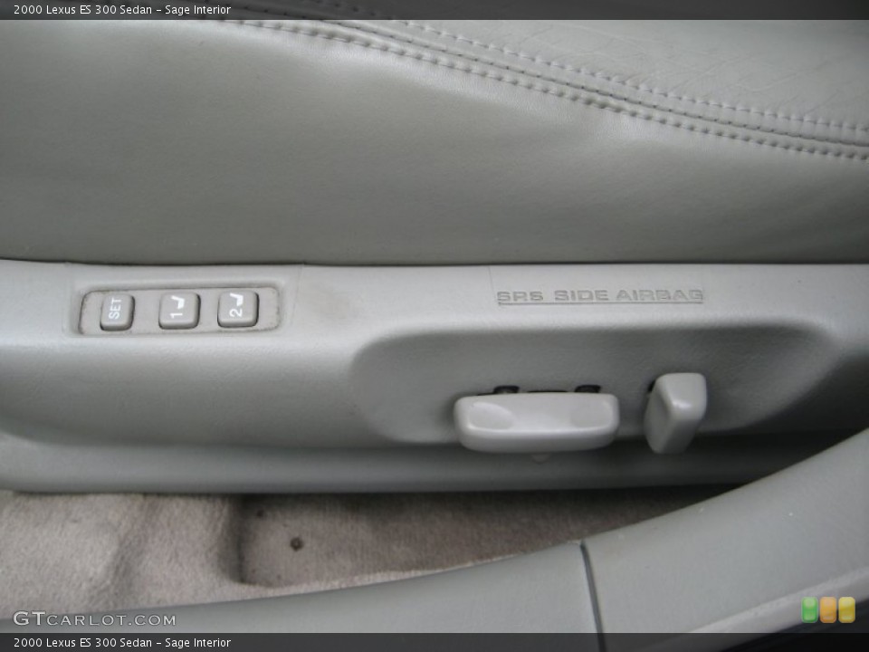 Sage Interior Controls for the 2000 Lexus ES 300 Sedan #66926674