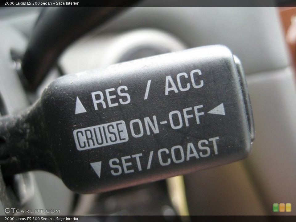 Sage Interior Controls for the 2000 Lexus ES 300 Sedan #66926683
